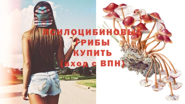 прущая мука Кодинск