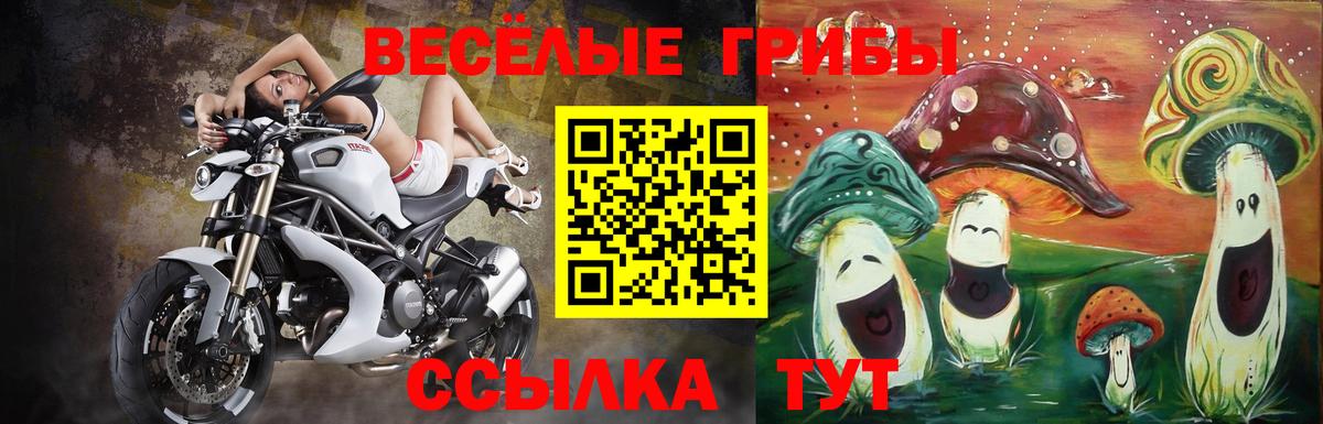 Псилоцибиновые грибы Psilocybine cubensis  Вход с VPN  Воткинск 
