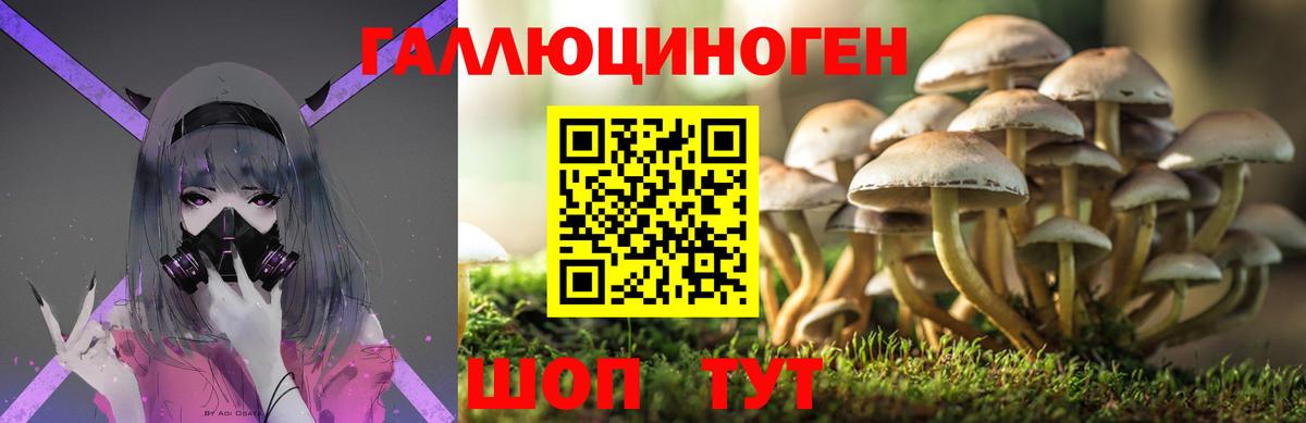 Галлюциногенные грибы GOLDEN TEACHER Воткинск